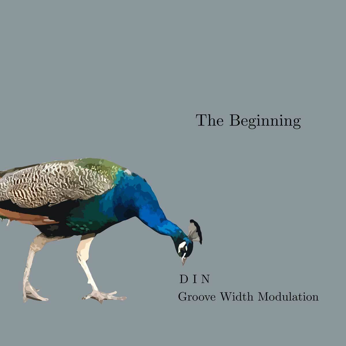 D I N & Groove Width Modulation – The Beginning
