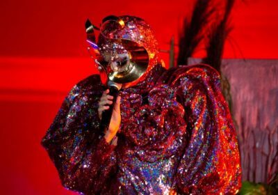 В сети появились кадры первого шоу Björk «Cornucopia» в Нью-Йорке