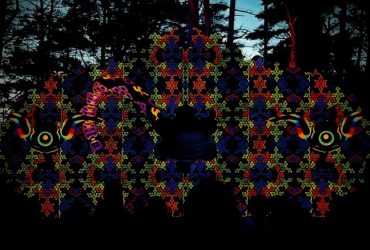 Terra Festivāls 2025: искусство, музыка и свобода под открытым небом