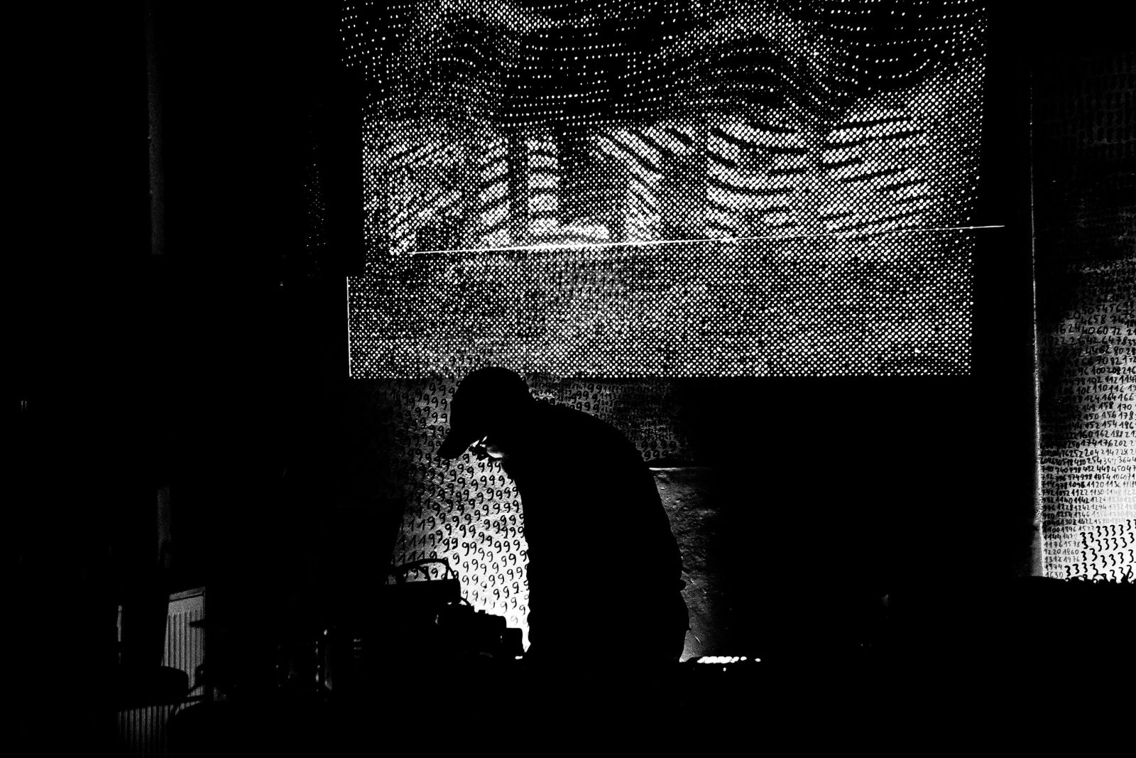 Filtrs 2026: определены победители конкурса